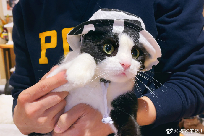 风格速写 — 极限户外·清爽剪 缩略图