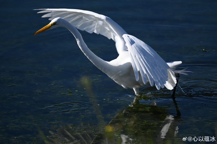 镜头笔记 — 极限户外·沉浸版 缩略图