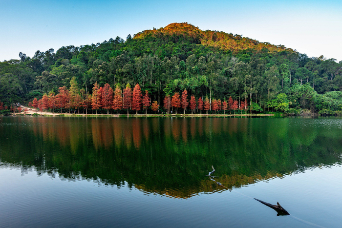 经典回看 — 街头节拍 封面