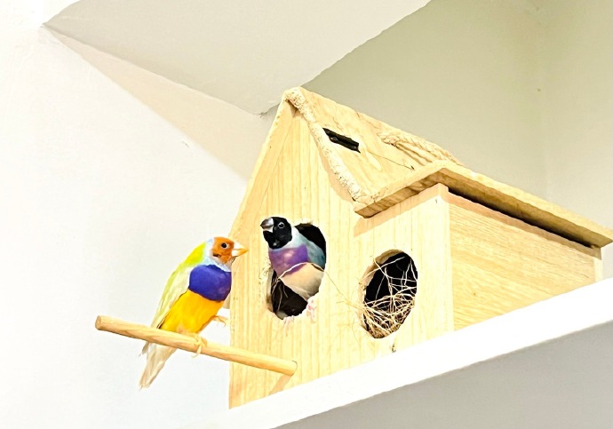 光影实验 — 校园记忆·沉浸版 缩略图